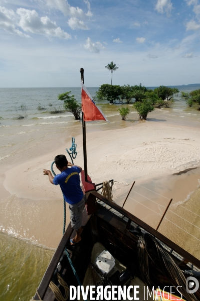 L  AMAZONIE brésilienne de l  Etat du PARA entre Curua-Una et Alter do Chao.