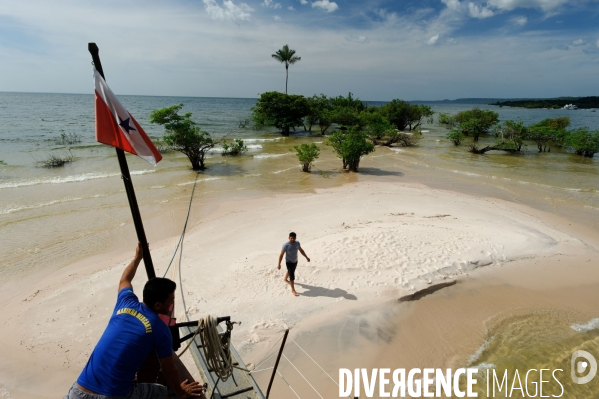 L  AMAZONIE brésilienne de l  Etat du PARA entre Curua-Una et Alter do Chao.