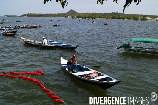 L  AMAZONIE brésilienne de l  Etat du PARA entre Curua-Una et Alter do Chao.