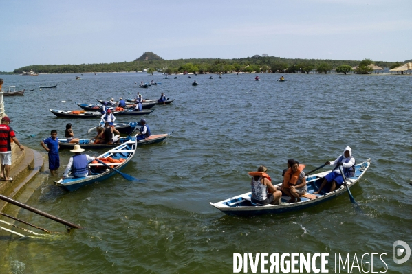 L  AMAZONIE brésilienne de l  Etat du PARA entre Curua-Una et Alter do Chao.