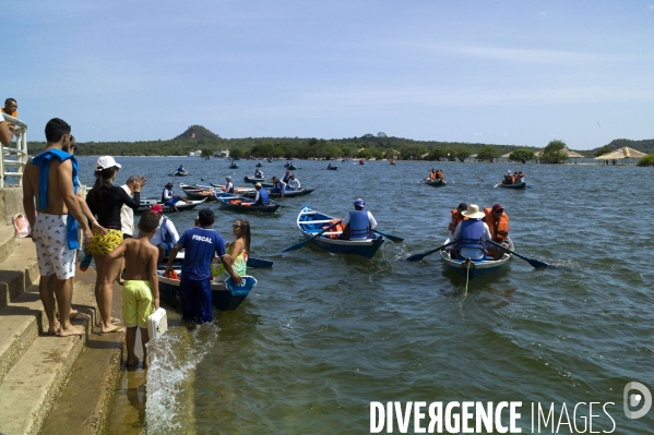 L  AMAZONIE brésilienne de l  Etat du PARA entre Curua-Una et Alter do Chao.