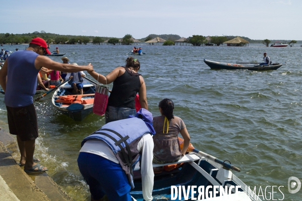 L  AMAZONIE brésilienne de l  Etat du PARA entre Curua-Una et Alter do Chao.