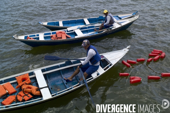 L  AMAZONIE brésilienne de l  Etat du PARA entre Curua-Una et Alter do Chao.