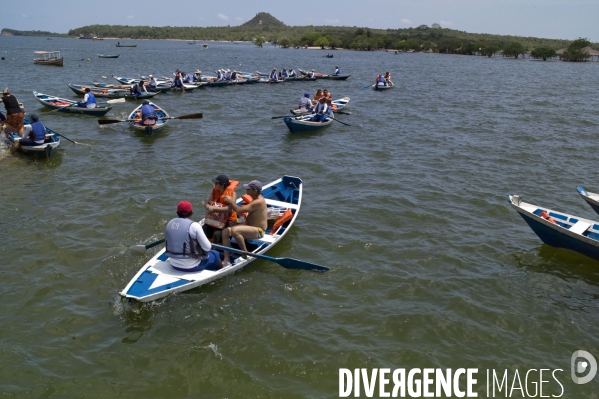 L  AMAZONIE brésilienne de l  Etat du PARA entre Curua-Una et Alter do Chao.