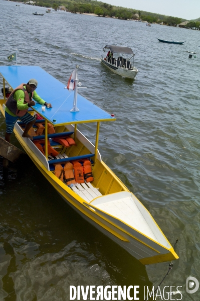 L  AMAZONIE brésilienne de l  Etat du PARA entre Curua-Una et Alter do Chao.