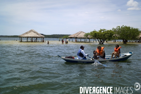 L  AMAZONIE brésilienne de l  Etat du PARA entre Curua-Una et Alter do Chao.