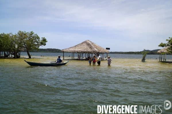 L  AMAZONIE brésilienne de l  Etat du PARA entre Curua-Una et Alter do Chao.