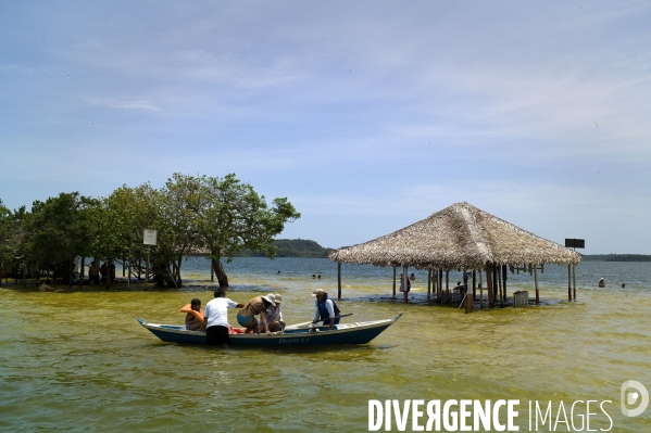 L  AMAZONIE brésilienne de l  Etat du PARA entre Curua-Una et Alter do Chao.