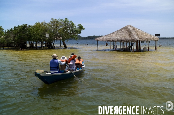 L  AMAZONIE brésilienne de l  Etat du PARA entre Curua-Una et Alter do Chao.