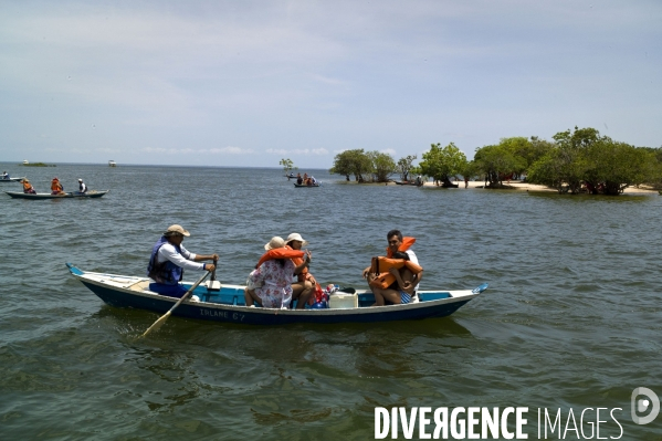 L  AMAZONIE brésilienne de l  Etat du PARA entre Curua-Una et Alter do Chao.