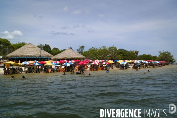 L  AMAZONIE brésilienne de l  Etat du PARA entre Curua-Una et Alter do Chao.