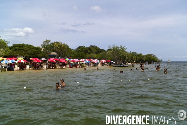 L  AMAZONIE brésilienne de l  Etat du PARA entre Curua-Una et Alter do Chao.