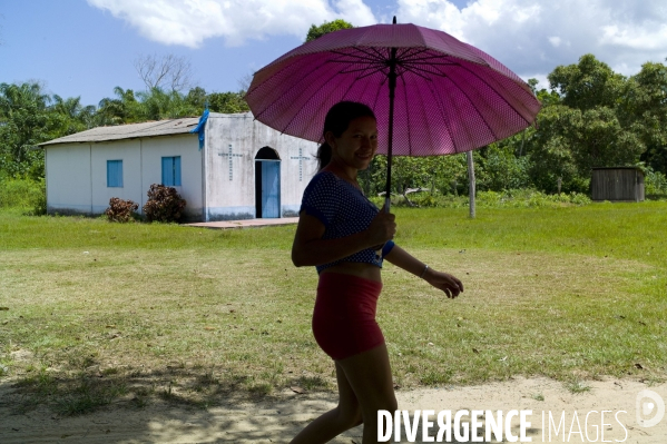 L  AMAZONIE brésilienne de l  Etat du PARA entre Curua-Una et Alter do Chao.