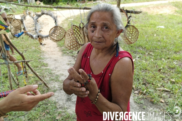 L  AMAZONIE brésilienne de l  Etat du PARA entre Curua-Una et Alter do Chao.