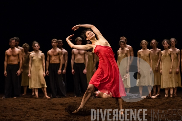Le Sacre du printemps / Pina Bausch
