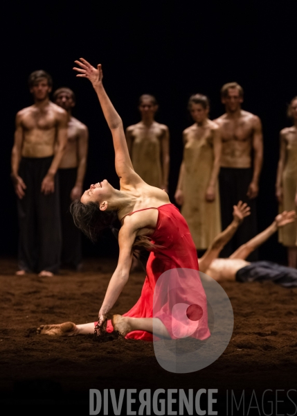 Le Sacre du printemps / Pina Bausch