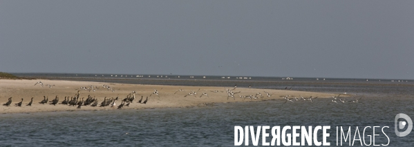 Parc national du banc d arguin