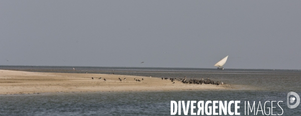 Parc national du banc d arguin