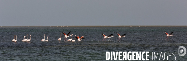 Parc national du banc d arguin