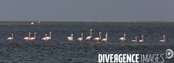 Parc national du banc d arguin