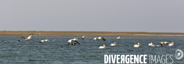 Parc national du banc d arguin