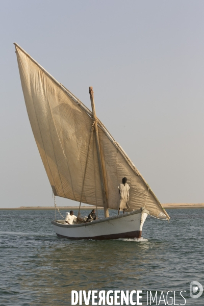 Parc national du banc d arguin