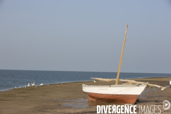 Parc national du banc d arguin