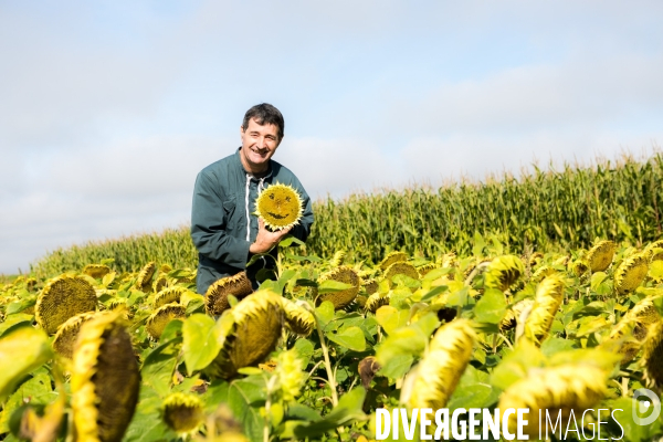 Agrilcuture de conservation des sols