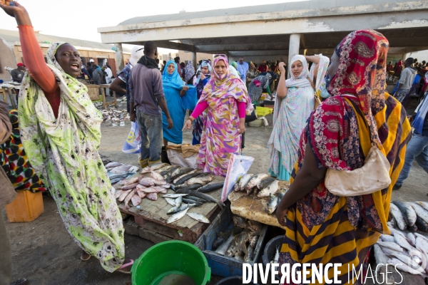 La plage des pecheurs de nouakchott