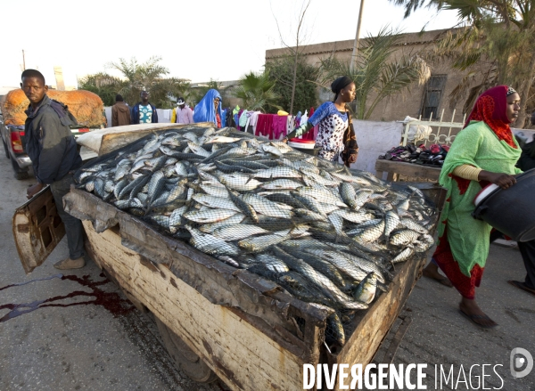 La plage des pecheurs de nouakchott