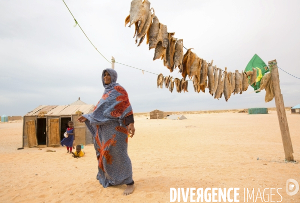 Images de mauritanie