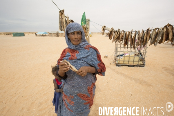 Images de mauritanie