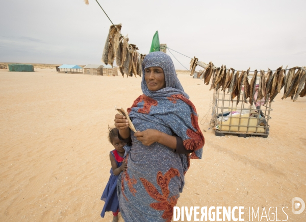 Images de mauritanie