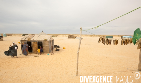 Images de mauritanie