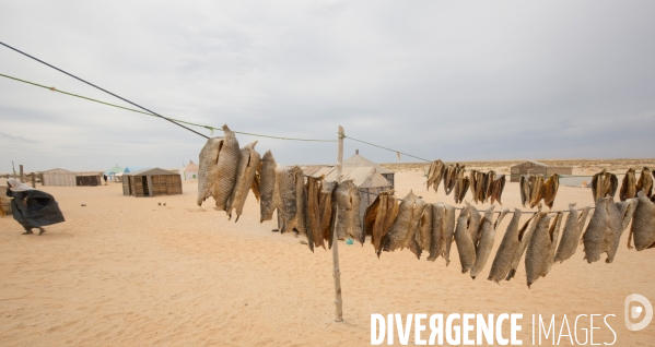 Images de mauritanie