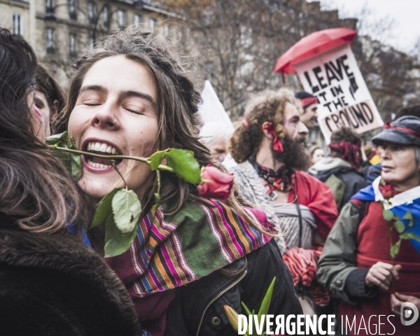 Rassemblement déclarant l Urgence Climatique à la fin de la COP21