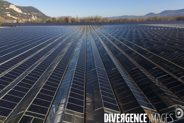 Vue aérienne d une centrale solaire sur serre agricole en Ardèche