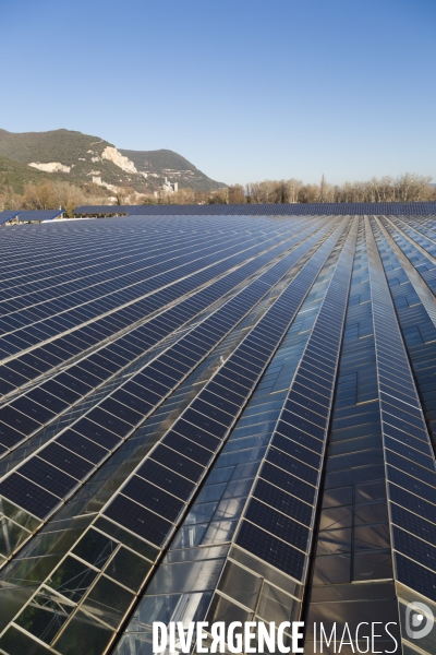 Vue aérienne d une centrale solaire sur serre agricole en Ardèche