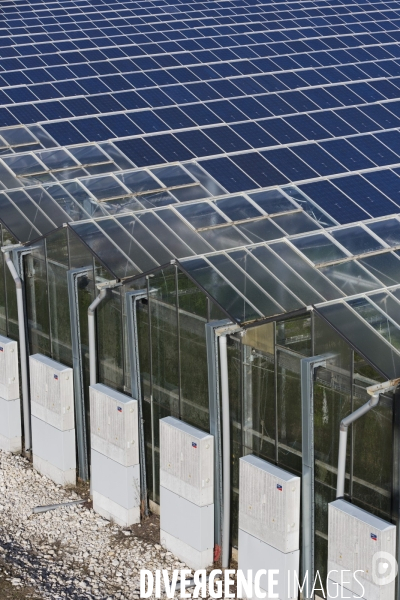 Vue aérienne d une centrale solaire sur serre agricole en Ardèche