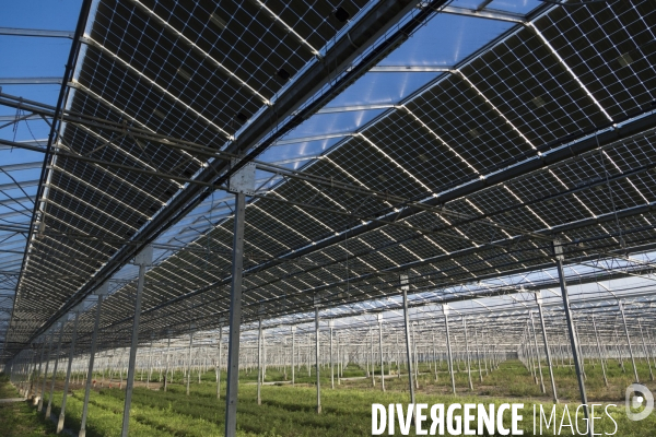 Vue aérienne d une centrale solaire sur serre agricole en Ardèche