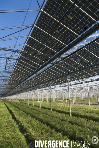 Vue aérienne d une centrale solaire sur serre agricole en Ardèche