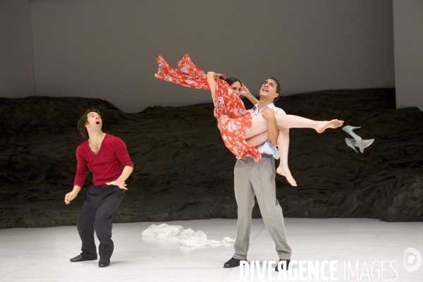 Masurca Fogo   de Pina Bausch