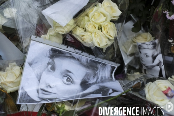 Attentats 13 Novembre  2015: Les jours d après - Hommages et recueillements