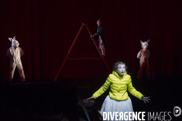 ALICE ET AUTRES MERVEILLES - Fabrice Melquiot - Emmanuel Demarcy-Mota