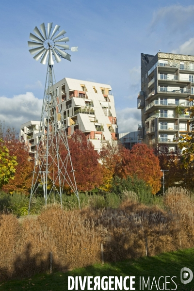 Illustration Decembre2015.Couleurs d automne au parc Martin Luther King dans la zac Clichy Batignolles.