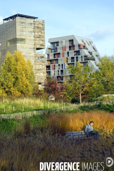 Illustration Decembre2015.Couleurs d automne au  parc Martin Luther King dans la zac Clichy Batignolles.