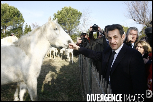 Deplacement de nicolas sarkozy en camargues