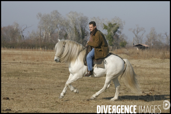 Deplacement de nicolas sarkozy en camargue