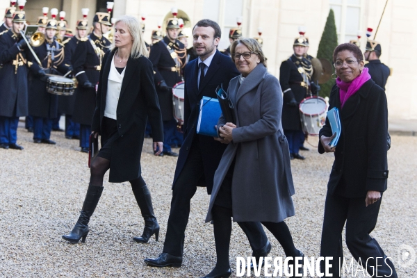 Elysee : 1er conseil des ministres 2016