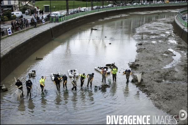 Pêche miraculeuse dans le canal St Martin avant qu il ne soit complètement vidé pour permettre la réparation de ses écluses.